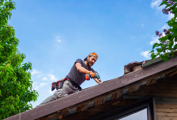 Best Skylight Installation and Repair  in Ashland, VA